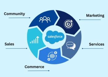 Methods that are Efficient for Utilizing Salesforce for Business