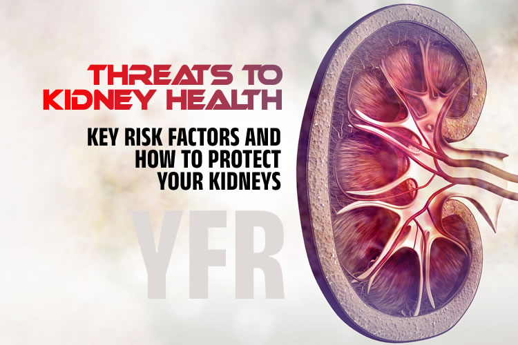 Threats to Kidney Health: Key Risk Factors and How to Protect Your Kidneys